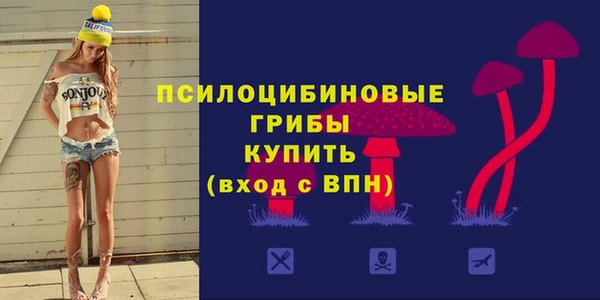первитин Алексеевка