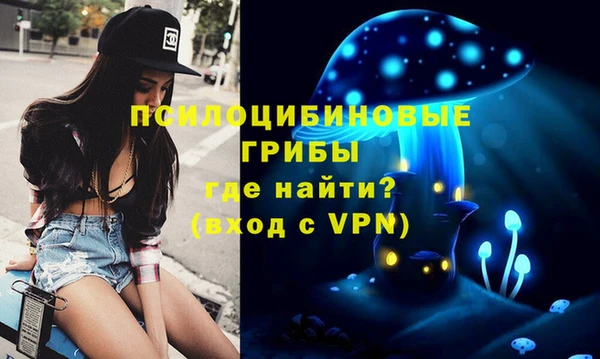таблы Алзамай