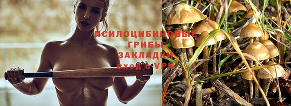 первитин Алексеевка